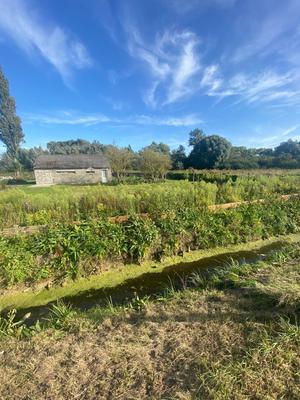 Parking / Garage - 80 m²