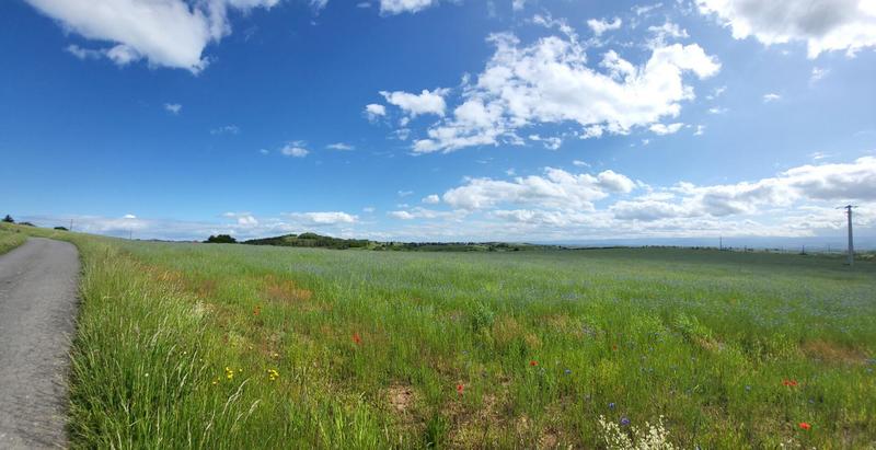 Terrain constructible - 733 m²