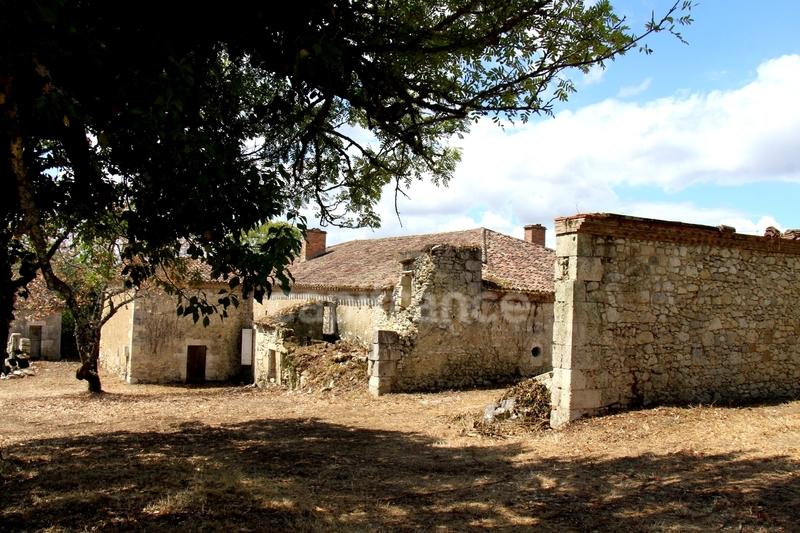 Propriété - 800 m² - 9 pièces