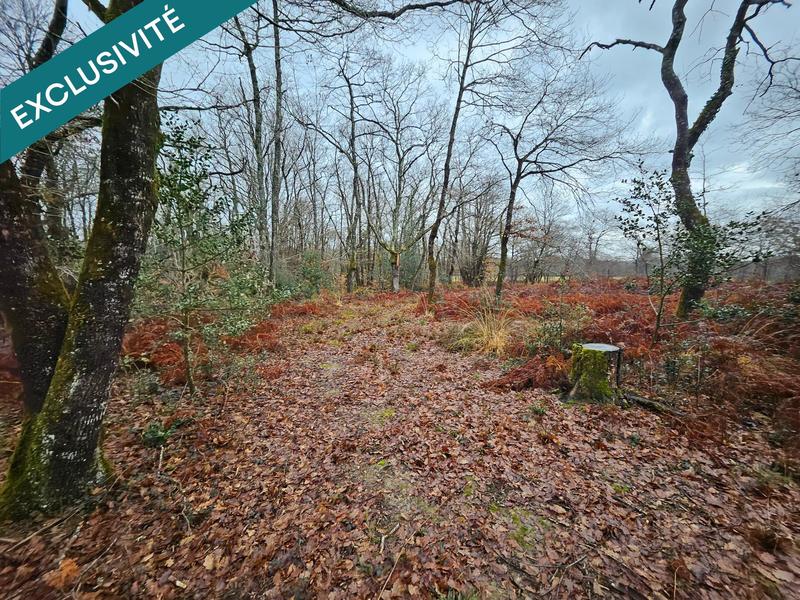 Terrain agricole - 9 570 m²