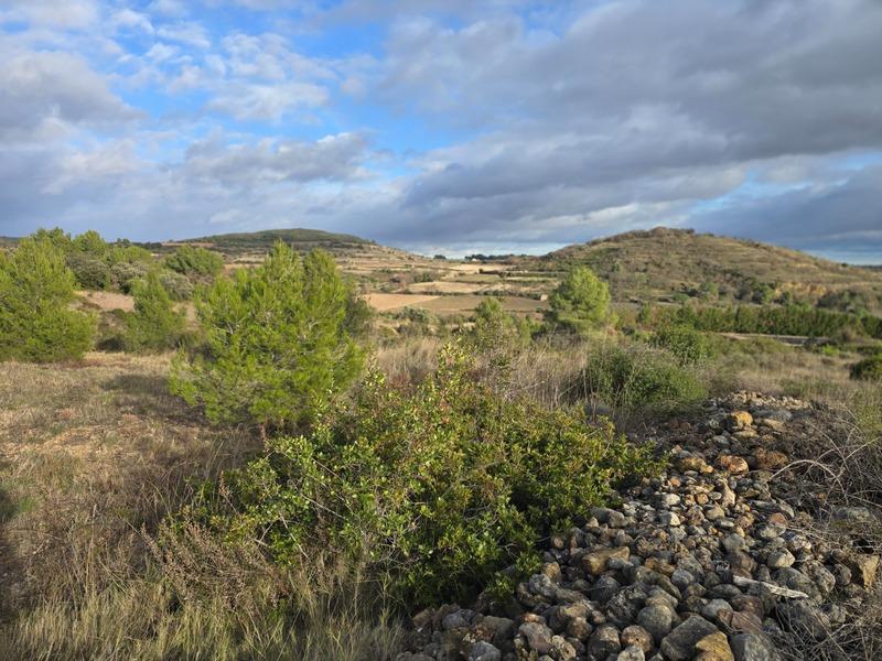 Terrain agricole - 8 540 m²