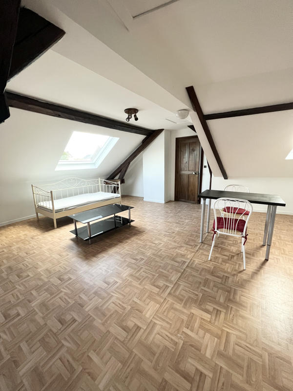 Loft - 49 m² - 2 pièces