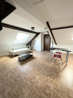 Loft - 49 m² - 2 pièces