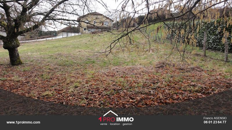 Terrain - 1 007 m²