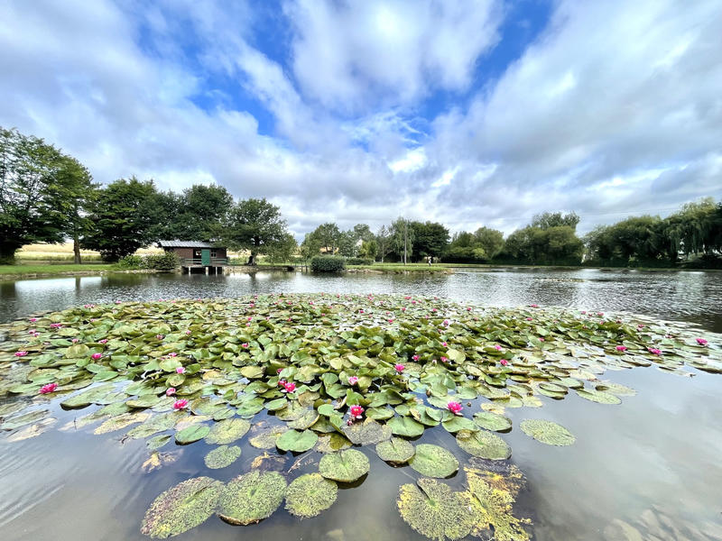 Terrain de loisirs - 10 501 m²