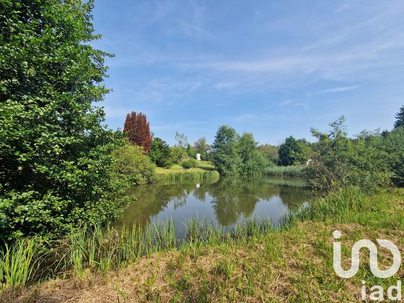 Terrain - 10 000 m²