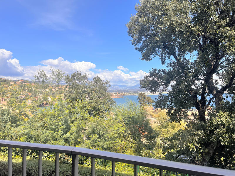 Appartement - 38 m² - 1 pièce