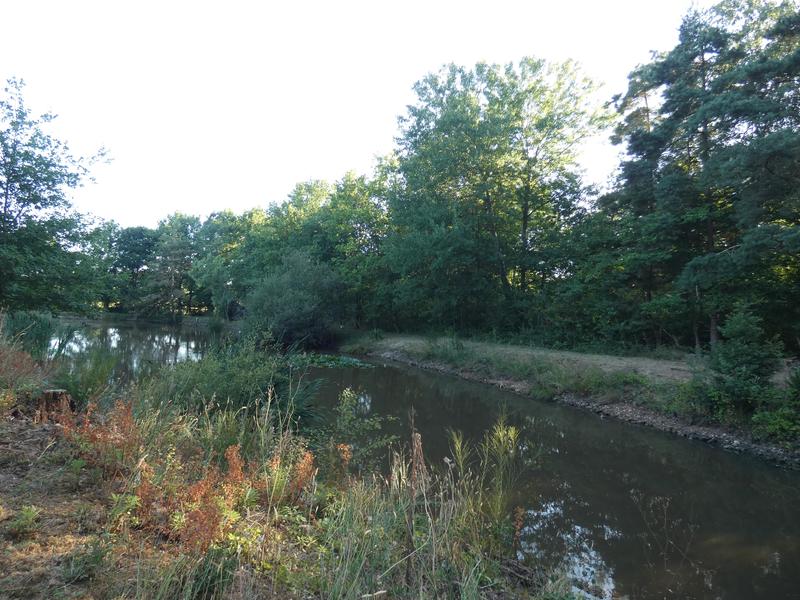 Terrain de loisirs - 11 460 m²