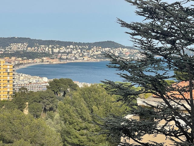 Appartement - 50 m² - 3 pièces