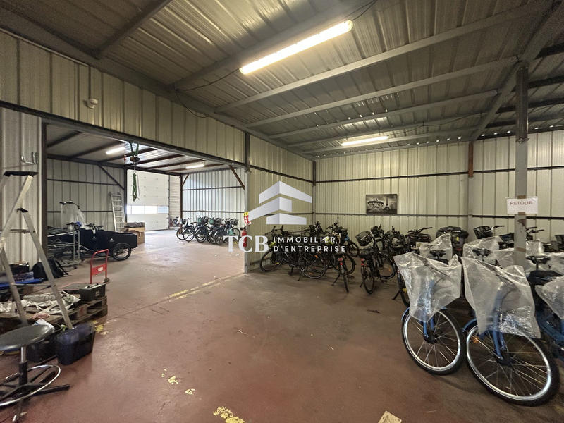 Local d'activités - 916 m²
