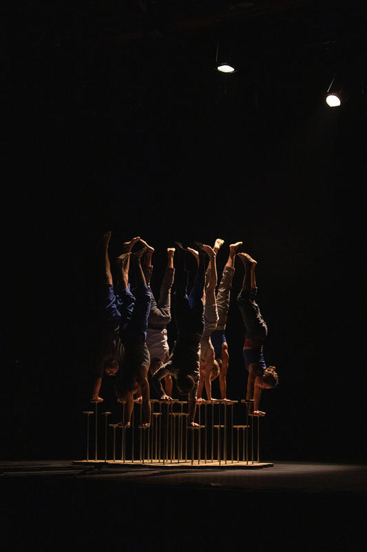 Saison culturelle - le Complexe de l’Autruche - Collectif d’équilibristes