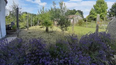 Maison - 74 m² - 3 pièces