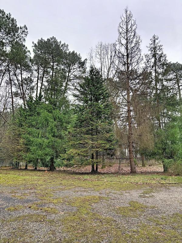 Maison - 185 m² - 7 pièces