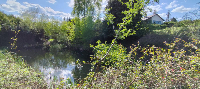 Maison - 230 m² - 7 pièces