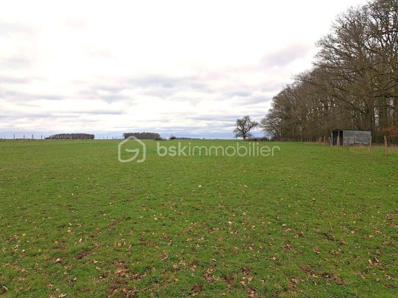 Maison - 275 m² - 7 pièces