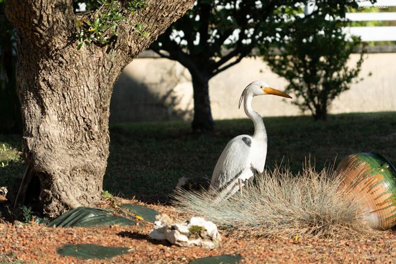 Maison - 100 m² - 3 pièces