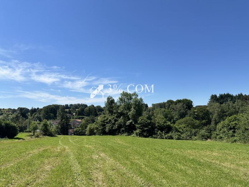 Terrain - 6 363 m²