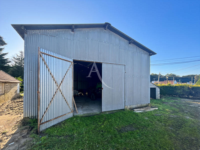 Local d'activité / Entrepôt - 140 m²