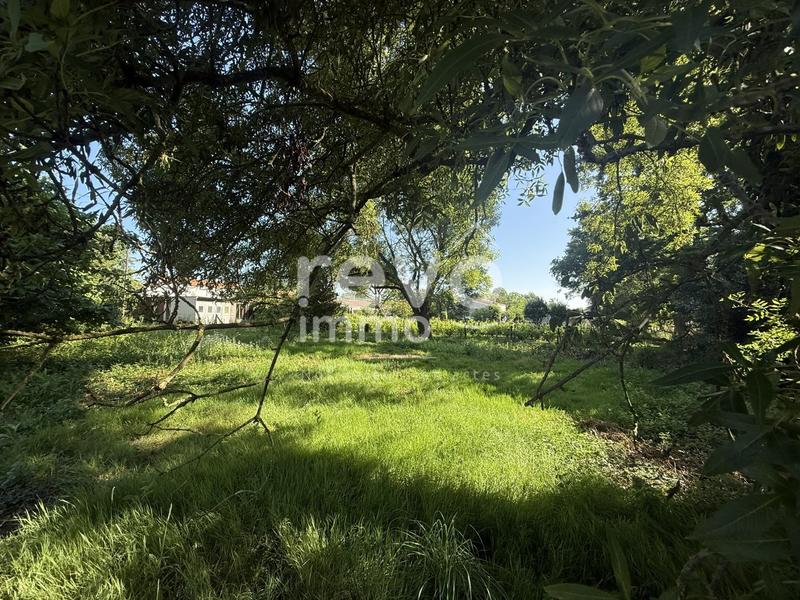 Terrain constructible - 1 134 m²