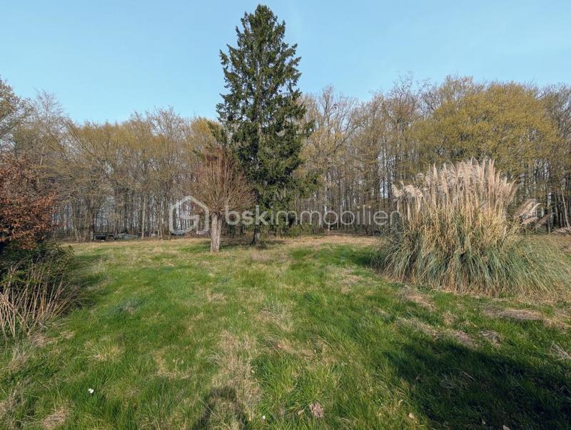 Longère - 240 m² - 5 pièces