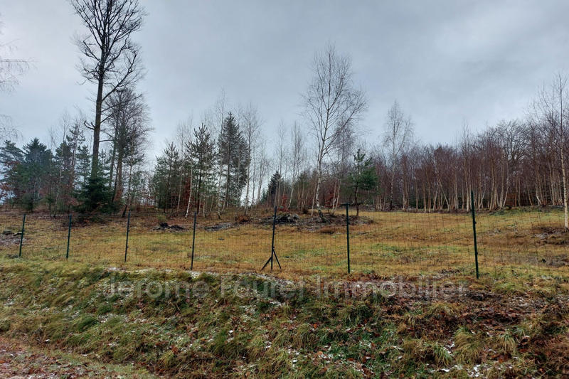 Maison - 70 m² - 2 pièces