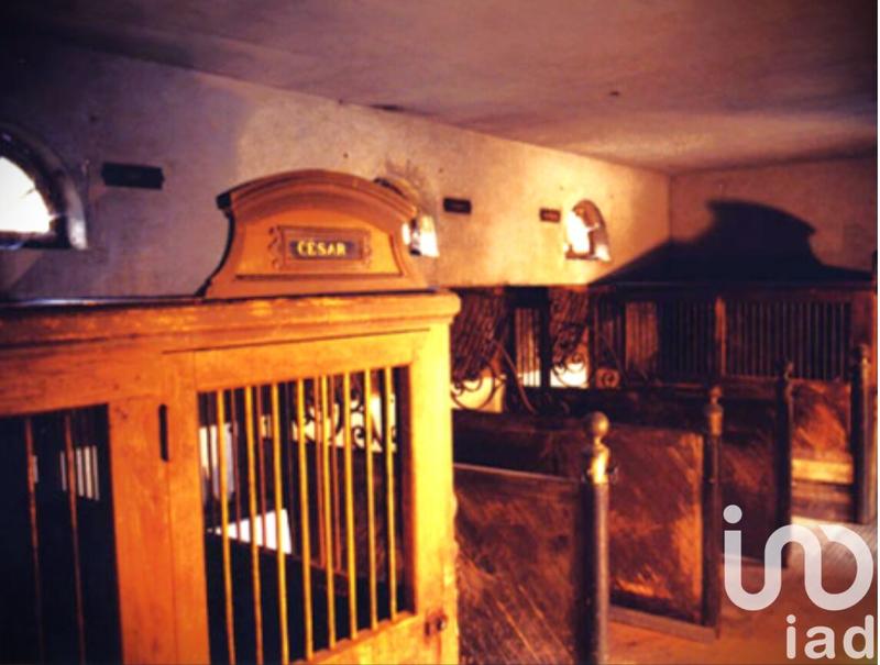 Château - 1 200 m² - 30 pièces