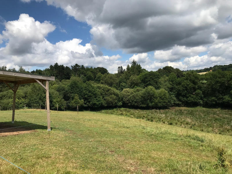 Maison - 340 m² - 13 pièces