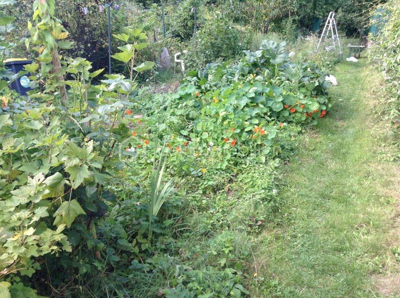 Maison - 126 m² - 5 pièces