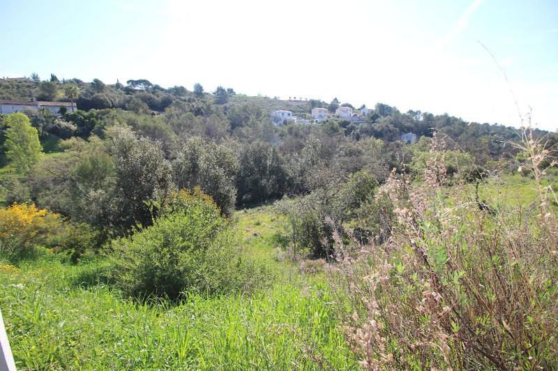 Terrain constructible - 7 309 m²