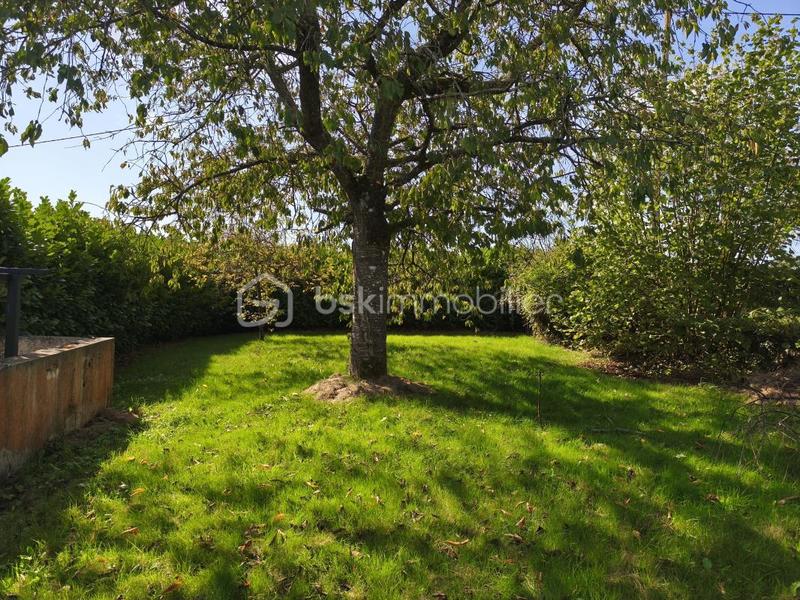 Maison d'architecte - 312 m² - 13 pièces