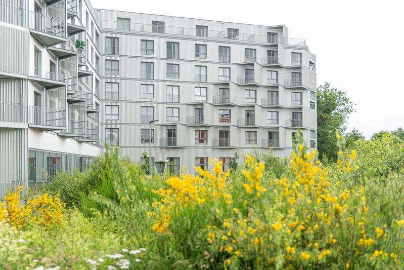 Studio - 22 m² - 1 pièce