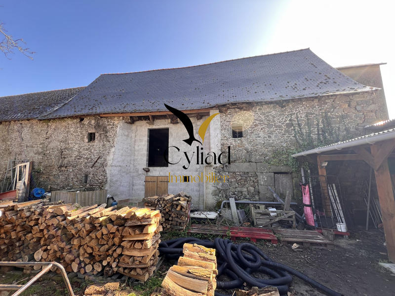 Maison ancienne - 400 m² - 8 pièces