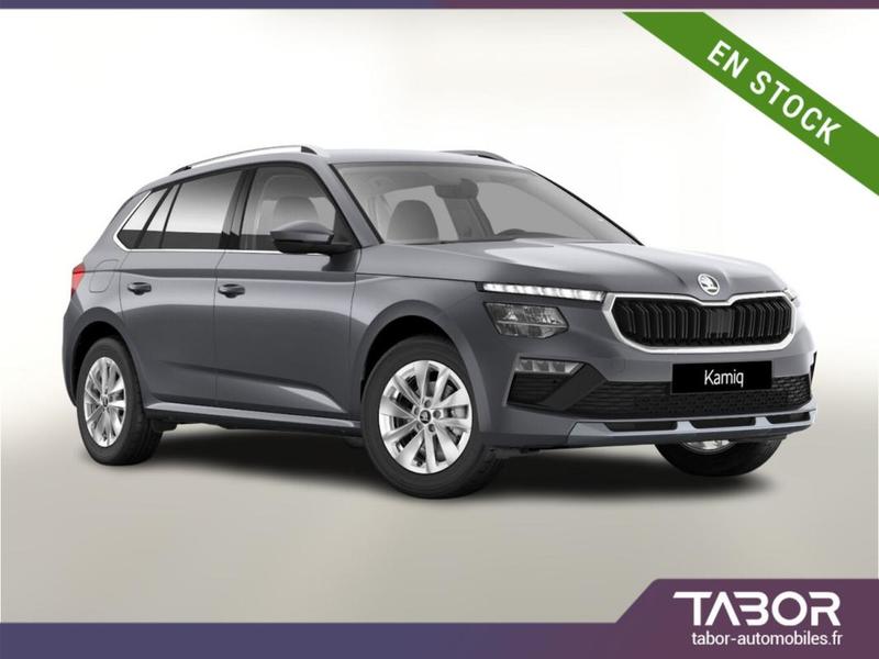 Skoda Kamiq 116 Dsg Selec Acc Cam Kessy SunS