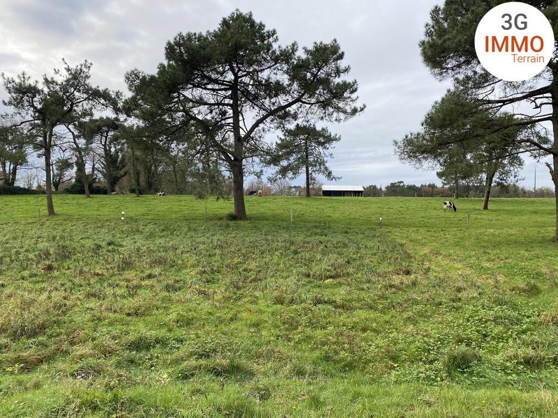 Terrain constructible - 796 m²