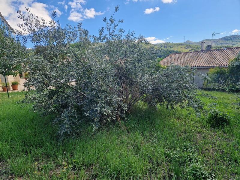 Terrain constructible - 430 m²