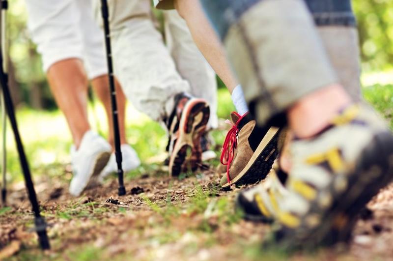 Randonnée des Nivéoles