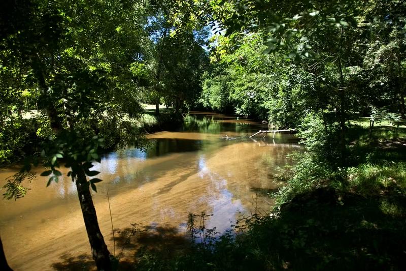 Projection d'un film pour enfant - au fil de l'eau
