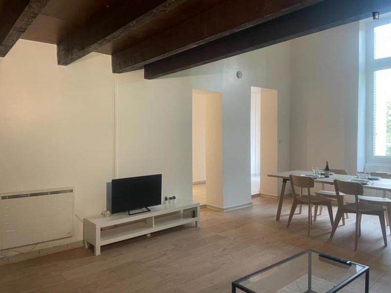 Appartement - 50 m² - 1 pièce