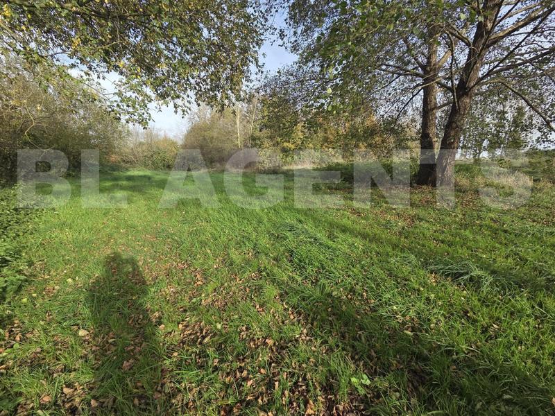 Terrain - 7 992 m²
