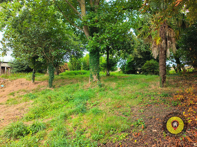 Maison - 280 m² - 5 pièces