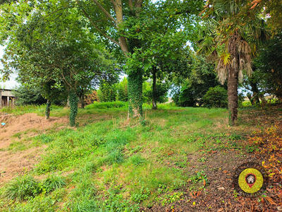 Maison - 280 m² - 5 pièces