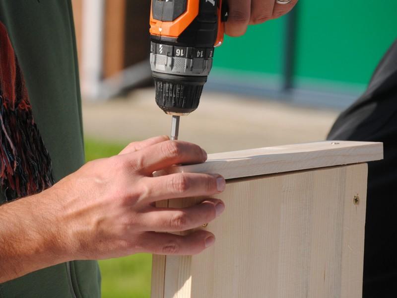 Atelier – Construction d’un nichoir
