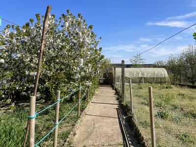 Maison - 86 m² - 5 pièces