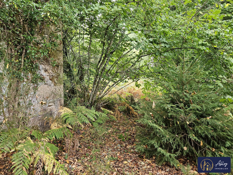 Maison ancienne - 30 m² - 1 pièce