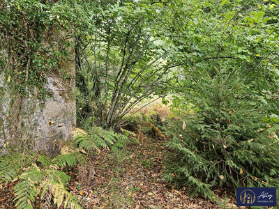 Maison ancienne - 30 m² - 1 pièce