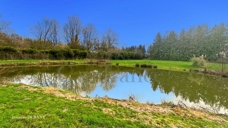 Terrain de loisirs - 8 000 m²