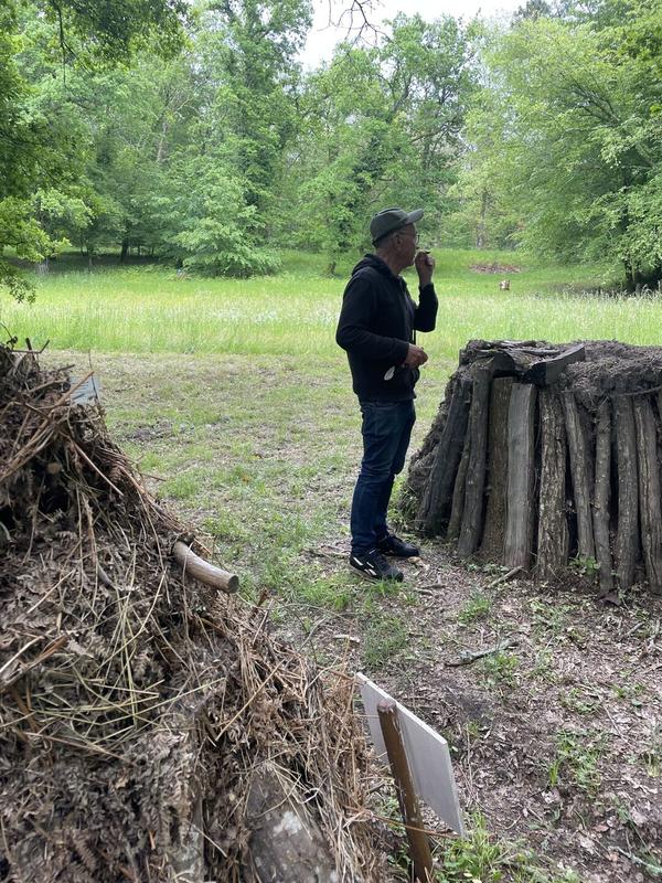 Journée internationale des forêts : randonnée botanique et poétique