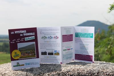 Les mystères du vignoble : Dieffenthal