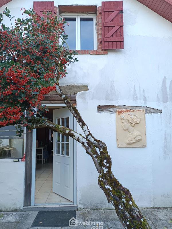 Maison de maîtres - 316 m² - 11 pièces