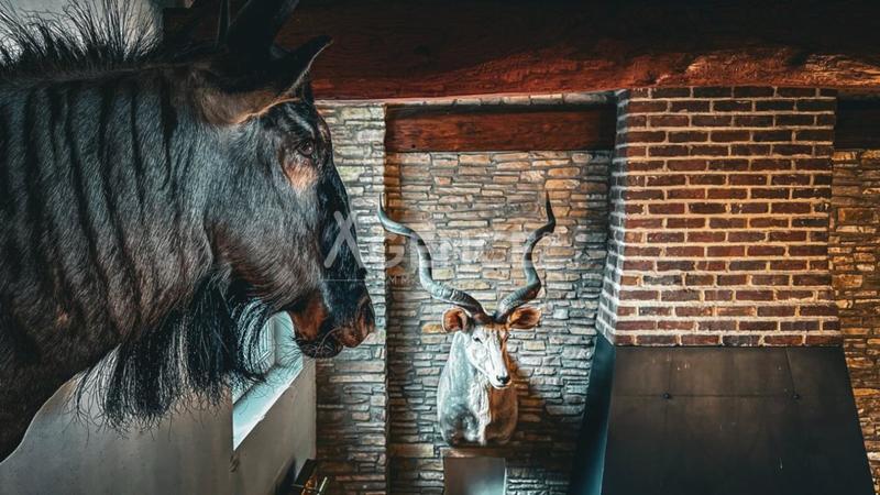 Maison bourgeoise - 352 m² - 9 pièces